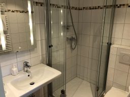 Moderne Dusche mit Glaswänden, Waschbecken und Spiegel in einem Badezimmer.